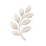 LineaViva